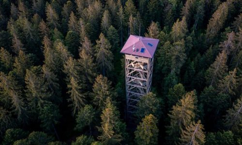 uma-torre-de-observacao-no-meio-da-floresta_856290-264